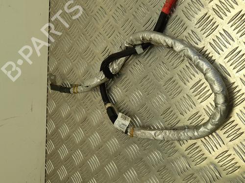 Cable BMW 5 (G30, F90) 520 d | BP28931929E12 