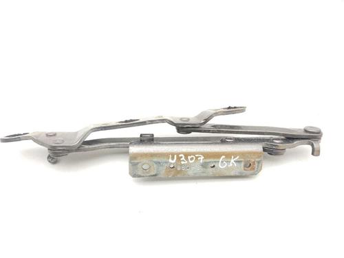 Hinge/Door check strap MASERATI QUATTROPORTE V 4.7 S | BP28916989C146 