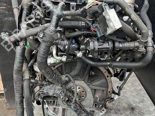 Engine RENAULT MASTER III Van (FV) 2.3 dCi 150 FWD (FV0F, FV03, FV09) | BP39217154M1 - Image 3