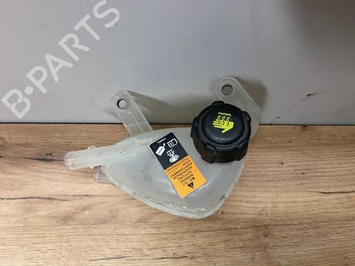 Ekpansionstank RENAULT AUSTRAL E-TECH 200 Hybrid (HGM2) | BP31975829C120