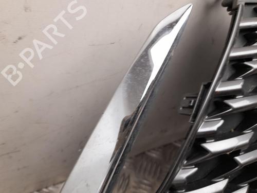 Grille LEXUS CT (ZWA10_) 200h (ZWA10_) | BP28927162C40 