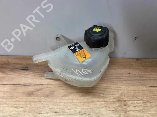 Ekpansionstank RENAULT AUSTRAL E-TECH 200 Hybrid (HGM2) | BP31975829C120
