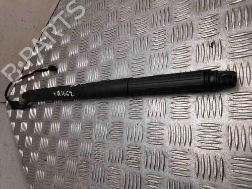 Used Tailgate lift support KIA SPORTAGE IV (QL, QLE) 1.6 T-GDI (177 hp) 28916975