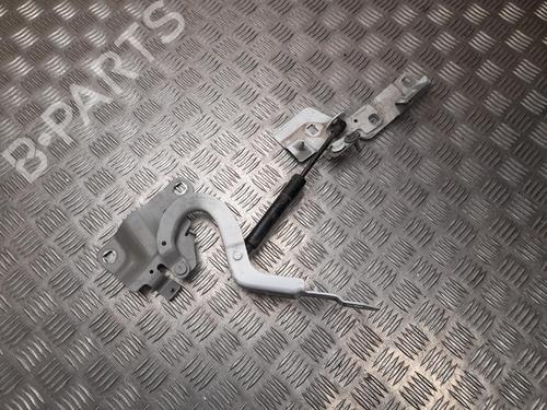 hingedoor-check-strap-renault-zoe-bfm_-2012-37552708 main image