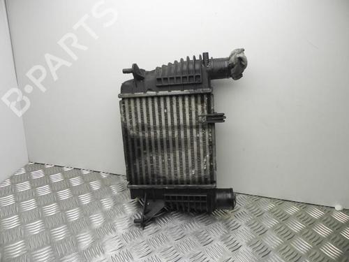 Intercooler Intercooler RENAULT CLIO III (BR0/1, CR0/1) 1.5 dCi (65 hp) 37576824 37576824
