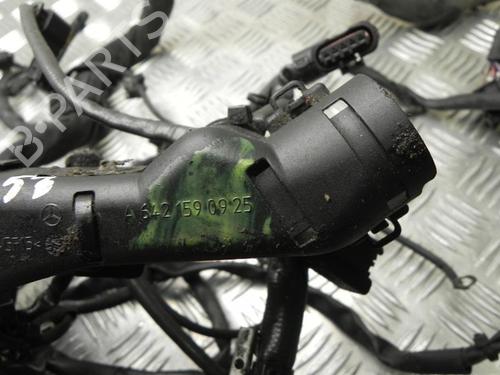 Other MERCEDES-BENZ CLS (C218) CLS 350 BlueTEC / d (218.326) | BP28940839O1 