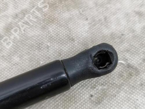 Hood lift support BMW X3 (F25) xDrive 20 d | BP28944218C139 