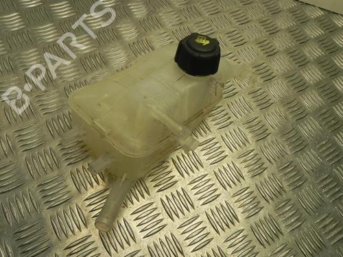 Used Expansion tank RENAULT SCÉNIC III (JZ0/1_) 1.5 dCi (110 hp) 28948580