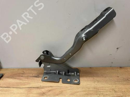 Used Hinge/Door check strap RENAULT AUSTRAL E-TECH 200 Hybrid (HGM2) (199 hp) 31975861
