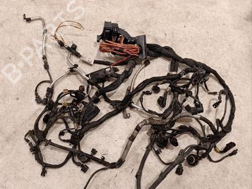 Used Wiring harness Wiring harness BENTLEY MULSANNE (3Y_) 6.8 (513 hp) 40051164 40051164