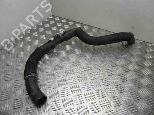 Used Pipe NISSAN QASHQAI II (J11, J11_) 1.2 DIG-T (115 hp) 28948660