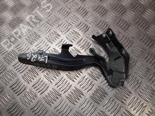 Hinge/Door check strap NISSAN JUKE (F16_) DIG-T 117 | BP28939944C146 