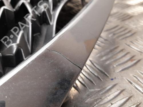 Grille LEXUS CT (ZWA10_) 200h (ZWA10_) | BP28927162C40 