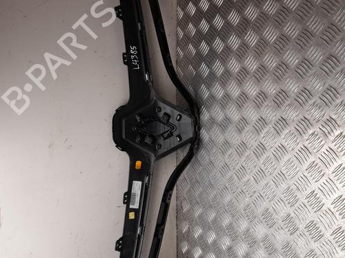 Grille RENAULT SCÉNIC III (JZ0/1_) 1.5 dCi | BP28919520C40 