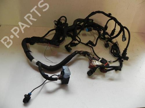 Ledningsnet Ledningsnet CITROËN C4 II (NC_) 1.6 HDi 115 (114 hp) 37562822 37562822