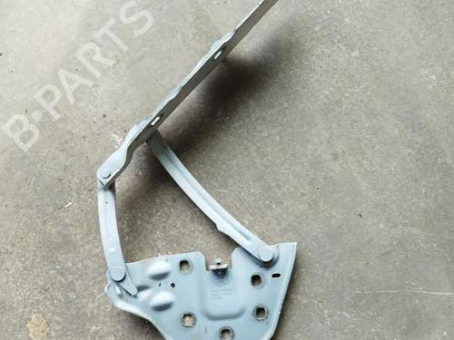 hingedoor-check-strap-land-rover-range-rover-velar-l560-2017-38967197 main image