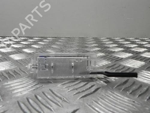 Used Interior roof light RENAULT SCÉNIC III (JZ0/1_) 1.5 dCi (110 hp) 28929542