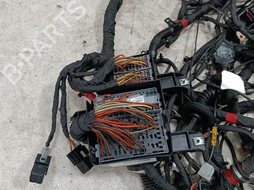 Wiring harness FERRARI CALIFORNIA 3.9 T | BP39001347E16 - Image 2