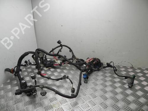 wiring-harness-dacia-sandero-ii-2012-37542241 main image