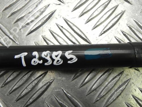 Hood lift support RENAULT SCÉNIC III (JZ0/1_) 1.5 dCi | BP28916194C139 
