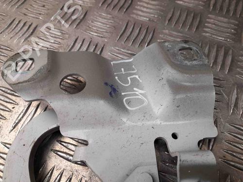 Hinge/Door check strap RENAULT ZOE (BFM_) ZOE | BP28921365C146