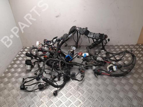 BP37564806E16 main image