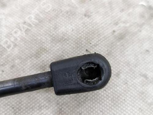 Hood lift support BMW X3 (F25) xDrive 20 d | BP28944218C139 