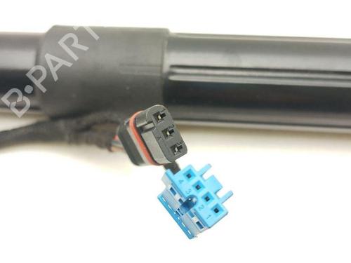 Tailgate lift support PORSCHE PANAMERA (970) 3.6 | BP28944850C138 