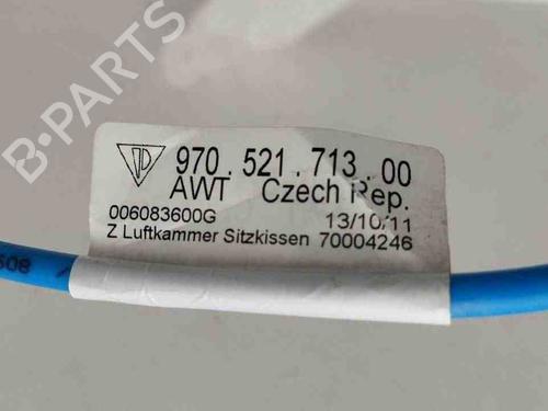 Electronic module PORSCHE PANAMERA (970) 4.8 Turbo | BP28909899M83 