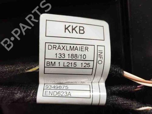 Left rear door BMW i3 (I01) Electric | BP28925380C4 