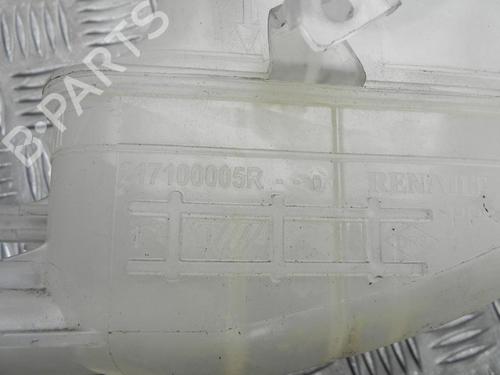 Expansion tank RENAULT SCÉNIC III (JZ0/1_) 1.5 dCi | BP28948580C120 