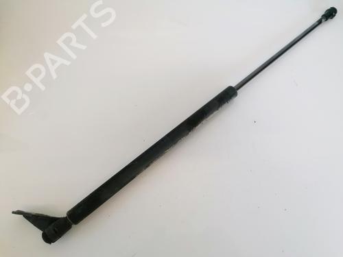 tailgate-lift-support-toyota-yaris-_p1_-1999-2000-2001-2002-2003-2004-2005-35500357 main image