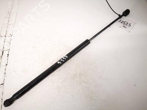 tailgate-lift-support-renault-scenic-ii-jm01_-2003-2004-2005-2006-2007-2008-2009-2010-35374924 main image