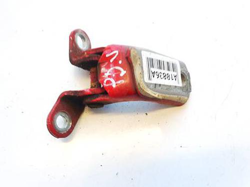 hingedoor-check-strap-toyota-aygo-_b1_-2005-2006-2007-2008-2009-2010-2011-2012-2013-2014-32555428 main image