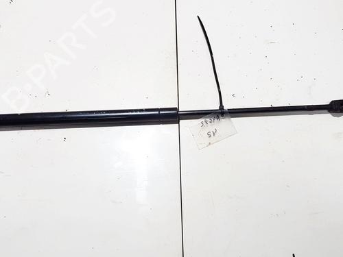 tailgate-lift-support-nissan-almera-ii-hatchback-n16-2000-35877264 main image