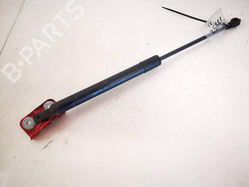 tailgate-lift-support-renault-clio-iv-bh_-2012-2013-2014-2015-2016-2017-2018-2019-2020-2021-35315491 main image