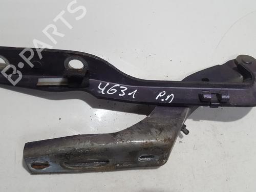 hingedoor-check-strap-peugeot-307-3ac-2000-2001-2002-2003-2004-2005-2006-2007-2008-2009-2010-2011-2012-35842479 main image
