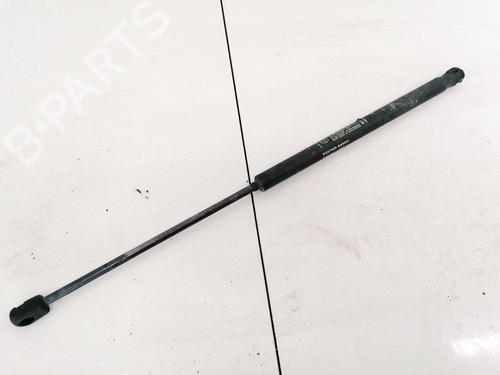 tailgate-lift-support-fiat-stilo-192_-2001-2002-2003-2004-2005-2006-2007-2008-2009-2010-35508343 main image