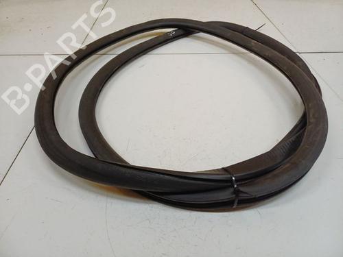 Gummiliste Gummiliste VW PHAETON (3D1, 3D2, 3D3, 3D4, 3D6, 3D7, 3D8, 3D9) 3.0 V6 TDI 4motion (224 hp) 39701307 39701307