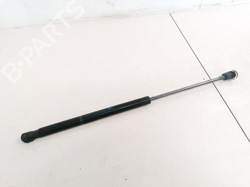 tailgate-lift-support-citroen-c2-jm_-2003-2004-2005-2006-2007-2008-2009-2010-2011-2012-2013-2014-2015-2016-2017-35572343 main image