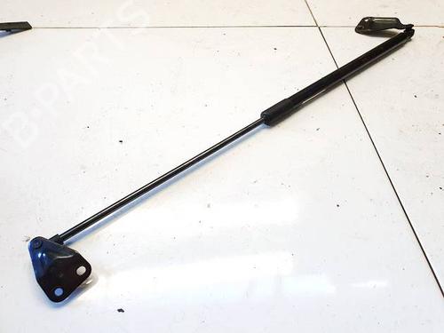 tailgate-lift-support-nissan-juke-f15-2010-2011-2012-2013-2014-2015-2016-2017-2018-2019-34982551 main image