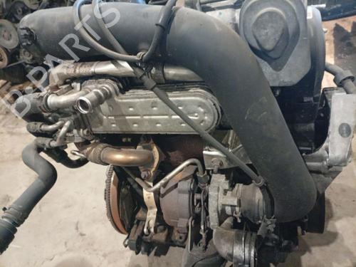 Used Pipe Pipe VW PASSAT B6 (3C2) 1.9 TDI (105 hp) 36151973 36151973