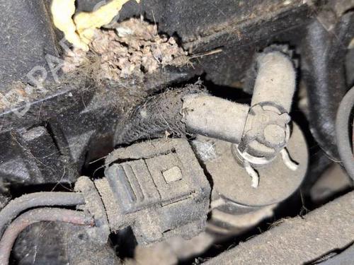 Injector PEUGEOT BIPPER (AA_) 1.4 HDi | BP34912960M100 - Image 2