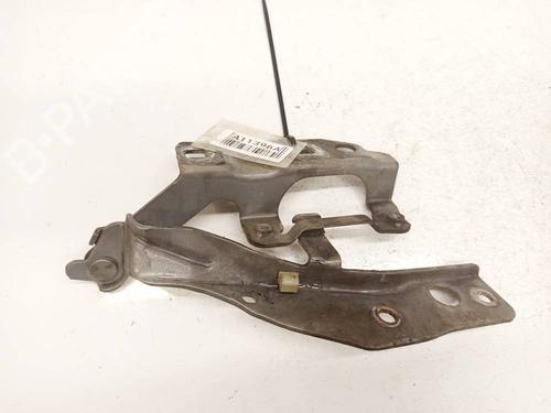 Used Hinge/Door check strap Hinge/Door check strap NISSAN X-TRAIL I (T30) 2.2 dCi 4x4 (136 hp) 36250958 36250958