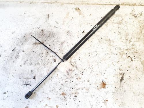 tailgate-lift-support-renault-scenic-ii-jm01_-2003-2004-2005-2006-2007-2008-2009-2010-35486936 main image