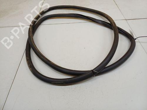 Gummilist Gummilist VW TOUAREG (7LA, 7L6, 7L7) 4.2 V8 (310 hp) 39669236 39669236