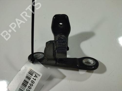 Used Hinge/Door check strap OPEL SIGNUM Hatchback (Z03) 1.9 CDTI (F48) (150 hp) 32550023