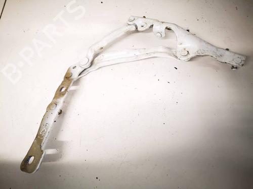 Used Hinge/Door check strap Hinge/Door check strap CHEVROLET CAMARO 3.6 (340 hp) 34818051 34818051