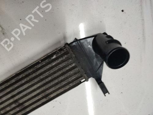 Intercooler DACIA LOGAN (LS_) 1.5 dCi (LS04) | BP34914843M30 - Image 2