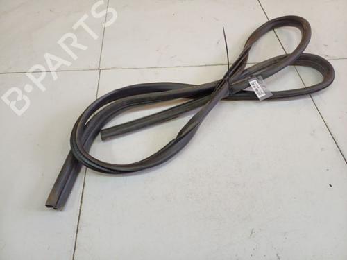 Gummiliste FORD FOCUS C-MAX (DM2) 2.0 TDCi | BP34844795C142 - Image 3